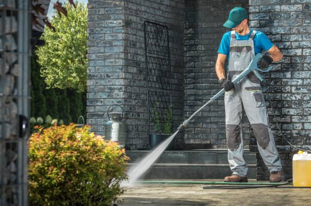 Best Animal Enclosure Cleaning  in Kremmling, CO